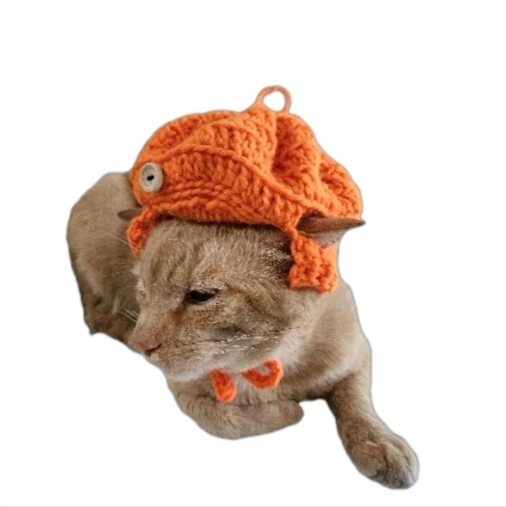 Handmade Halloween Crochet Pumpkin Hat for Cats or Small Dogs – Fall Pet Costume - Picture 7 of 16